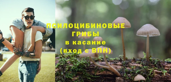 spice Алексин